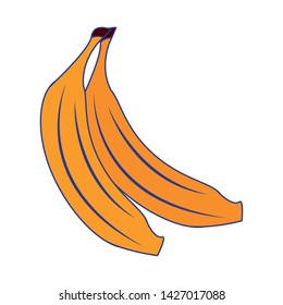 Bananas fresh fruits isolated cartoon vector illustration graphic design