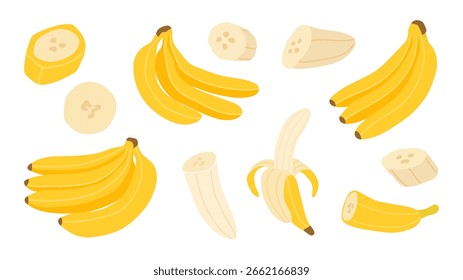Bananas fruit set, vector illustration, isolated on a white background. Design elements for posters, banners, packaging. Sweet tropical exotic fruits collection. Whole, sliced, peeled bananas