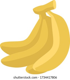 Bananas, illustration, vector on white background