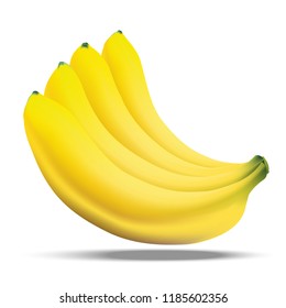 Bananas isolated on white background. Realistic fruit in tropical zone.Vector illustration.