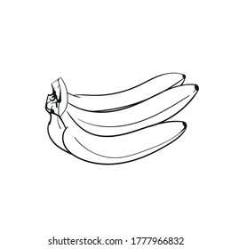 Bananas line art vector illustration, hand drawn black and white banana background are isolated