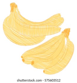 Bananas in old retro style hand drawn vector illustration with scribble or engraving elements