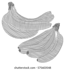 Bananas in old retro style hand drawn vector illustration with scribble or engraving elements