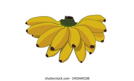 Bananas on the white background