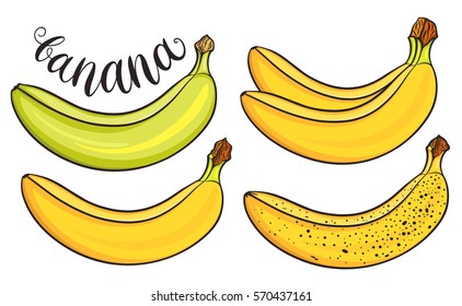 Bananas on white background, template for your design. Fresh fruits collection. Decorative hand drawn doodle vector illustration.