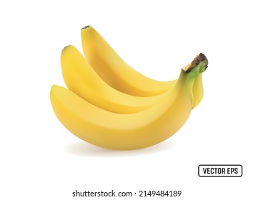 BANANAS ON A WHITE BACKGROUND. VECTOR EPS