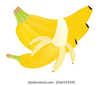 Bananas on white background, vector