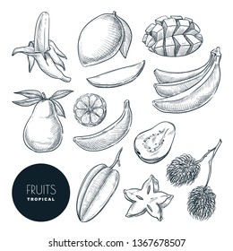 Bananas and other tropical exotic fruits. Vector sketch illustration. Hand drawn design elements and icons set. Natural tasty eating collection.