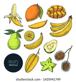 Bananas and other tropical exotic fruits. Vector color sketch illustration. Hand drawn design elements and icons set. Natural tasty eating collection.