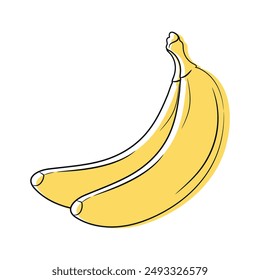 Bananas outline isolated on white background. Banana fruit sketch. Vector illustration