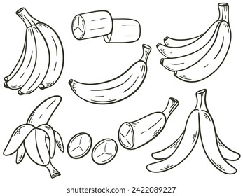 Bananas set hand engraving isolated vector illustration. Sketch of banana in bunch, single, peeled, sliced. Organic healthy food black line on white background. Tropical fruit doodle style