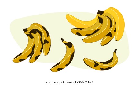 Bananas set on white background vector illustration cartoon flat design modern style