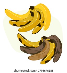 Bananas set on white background vector illustration cartoon flat design modern style