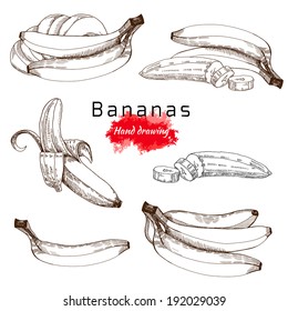 Bananas set,  vector hand drawing