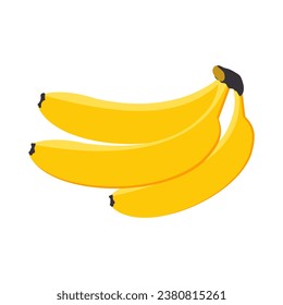 Bananas three pieces yellow sweet ripe exotic tropical fruit isolated on a white background. Vector.