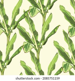 Bananas tree. Seamless floral pattern with exotic banana grass. Tropical pattern on a yellow background. 