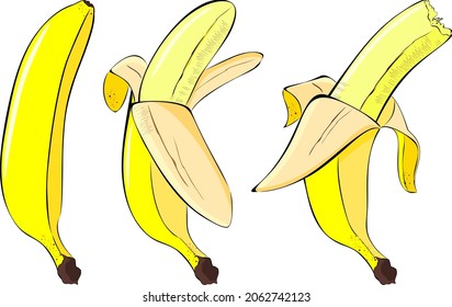 Bananas, tropical fruits.
Peel the banana and take a bite.
Cartoon illustration in vector.