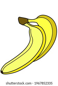 Bananas. Two ripe yellow bananas vector linear illustration. Sweet tropical healthy fruits healthy food and vitamins. Vegan food, fruits.
