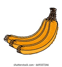 bananas vector illustration