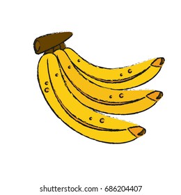 bananas vector illustration