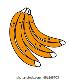 bananas vector illustration