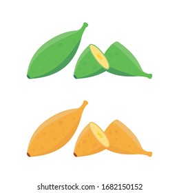 Bananas Vector illustration. with flat cartoon design. green and yellow color. ripe and immature banana.