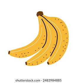 Bananas. Vector illustration. White isolated background. 