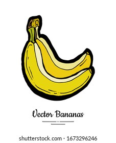 Bananas vector isolated. Whole banana bunch. Yellow green sweet fruits collection hand drawn. Food vegetarian logo icon sketch ink style. Trendy fruit banana isolate illustration white background.