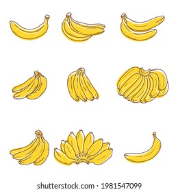 Bananas vector set. Clipart set of hand drawn flat design and line style isolated on white background.