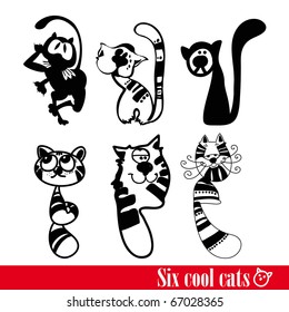 The band of six funky cats isolated over white