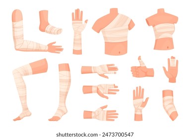 Bandaged body. Medical anatomy pictures of different human body legs and arms exact vector bandage illustration