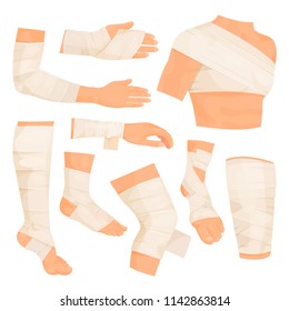 Bandaged body parts. Strips of woven material set to bind up a wound, to protect injured part of the body. Vector flat style cartoon illustration isolated on white background