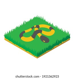 Banded krait icon. Isometric illustration of banded krait vector icon for web