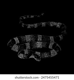 banded krait snake hand drawing vector isolated on black background.