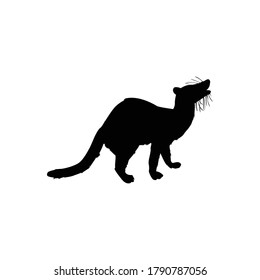 Banded Palm Civet Silhouette Vector Illustrator