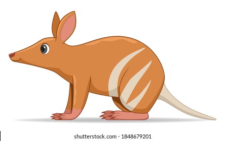 Bandicoot animal standing on a white background. Cartoon style vector illustration