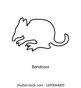Bandicoot icon vector on white background. Black icon illustration