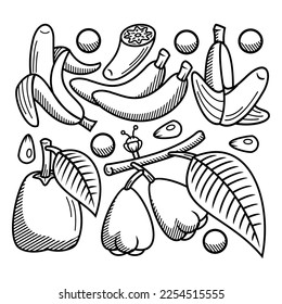 bandle fruit element suitable for element design