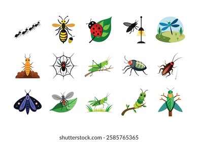 bandle insects animal vector, bug and insect illustration