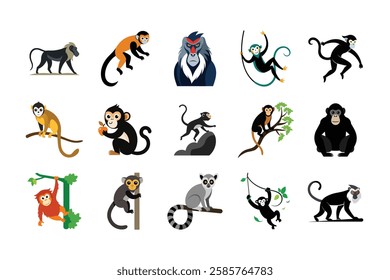 bandle primates animal vector, monkey and ape illustration