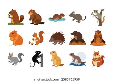 bandle rodents animals vector, small mammal illustration