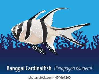 Banggai cardinalfish swimming in the sea illustration