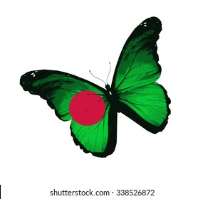 Bangladesh flag butterfly - vector