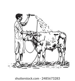 Bangladeshi man washing cow. water splash , cow love. Eid market