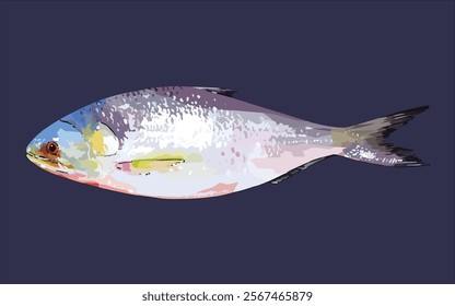 Bangladeshi Popular fish Hilsha Vector Illustration