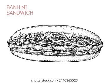 Banh mi sandwich sketch. Hand drawn vector illustration. Vietnamese food. not AI