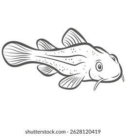 Banjo Catfish Line Arte, Bunocephalus coracoideus