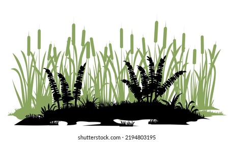 Bank of river or swamp with fern shoots. Thickets of reeds. Swamp landscape. View of the river bank. Silhouette picture. Isolated on white background. Vector