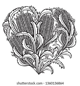 Banksia Wildflower Heart Vector Ornate Vector Design