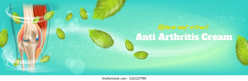 Banner Anti Arthritis Cream Natural Mint Extract. Realistic 3d Vector Illustration Anatomy Human Knee Joint After Applying Medical Cream Treatment. Pharmacy Brand Advertising Poster